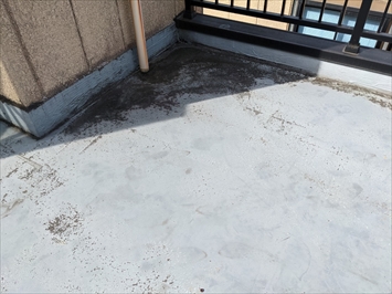 シート防水